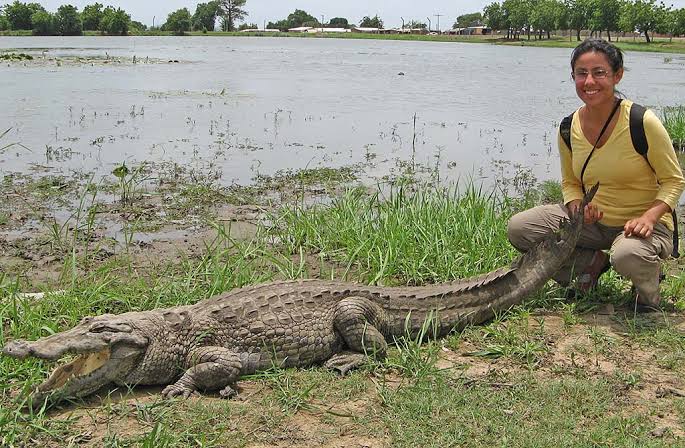 Paga Crocodile Pond, Paga, Upper East