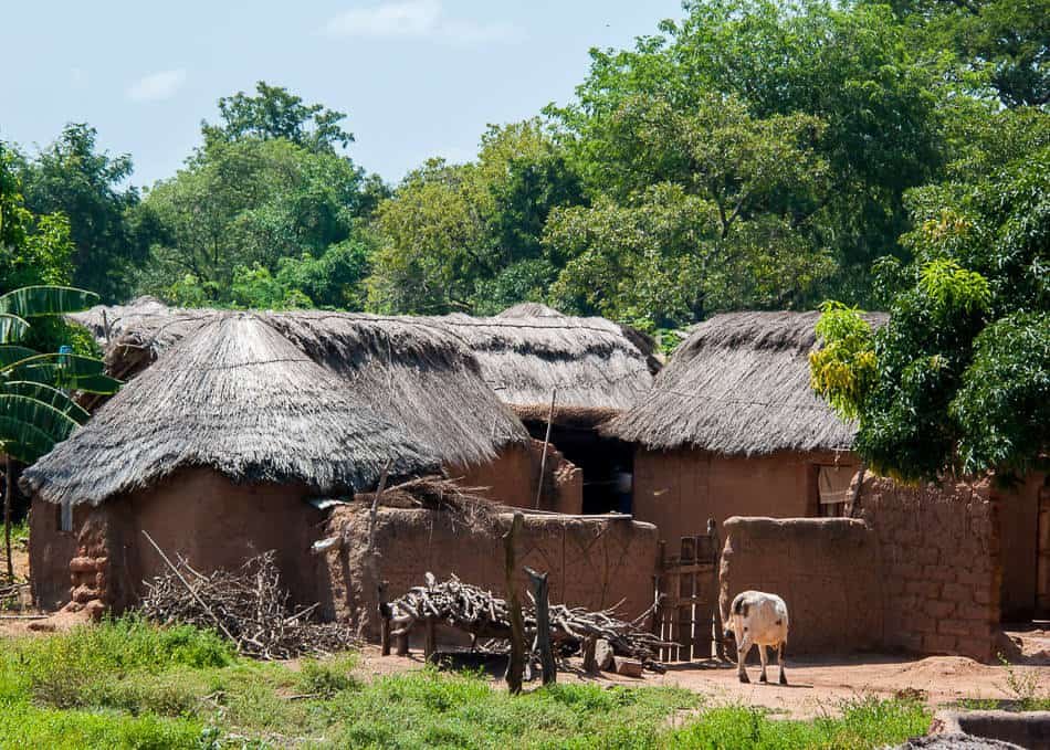 Mognori Eco Village, Mognori, Savannah