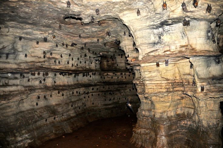 Buoyem Caves and Sacred Grove, Buoyem, Bono East