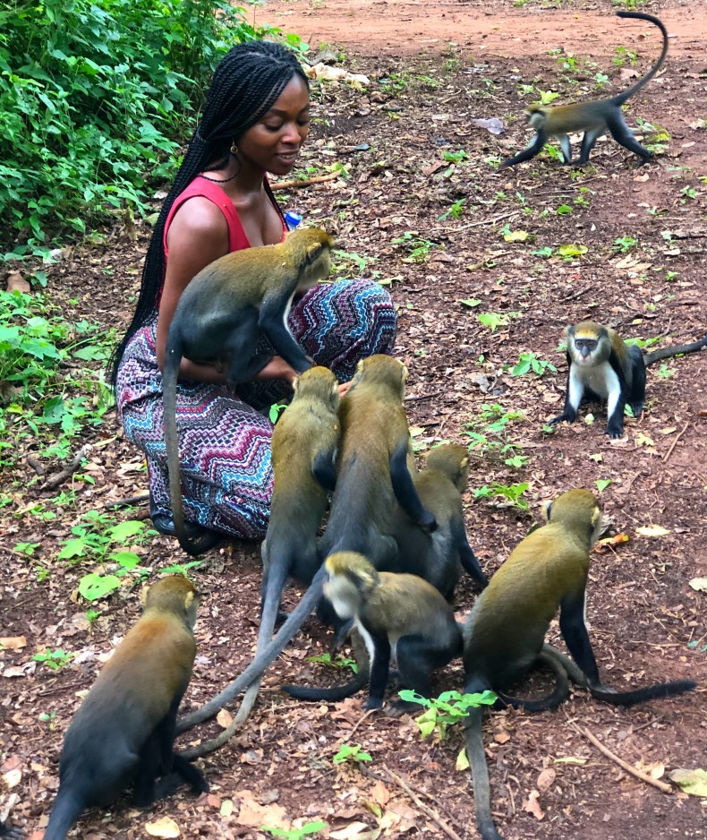 Boabeng-Fiema Monkey Sanctuary, Boabeng, Bono East