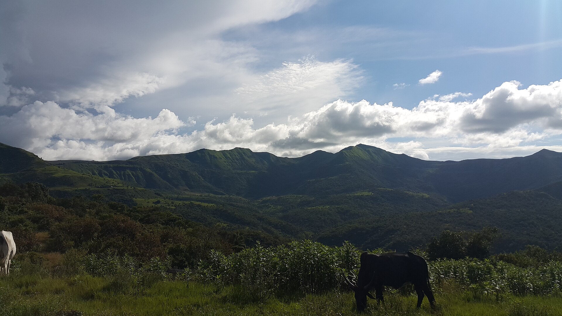 Mambilla Plateau, Mambilla Plateau, Taraba State