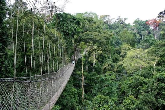 Okomu National Park, Okomu, Edo State