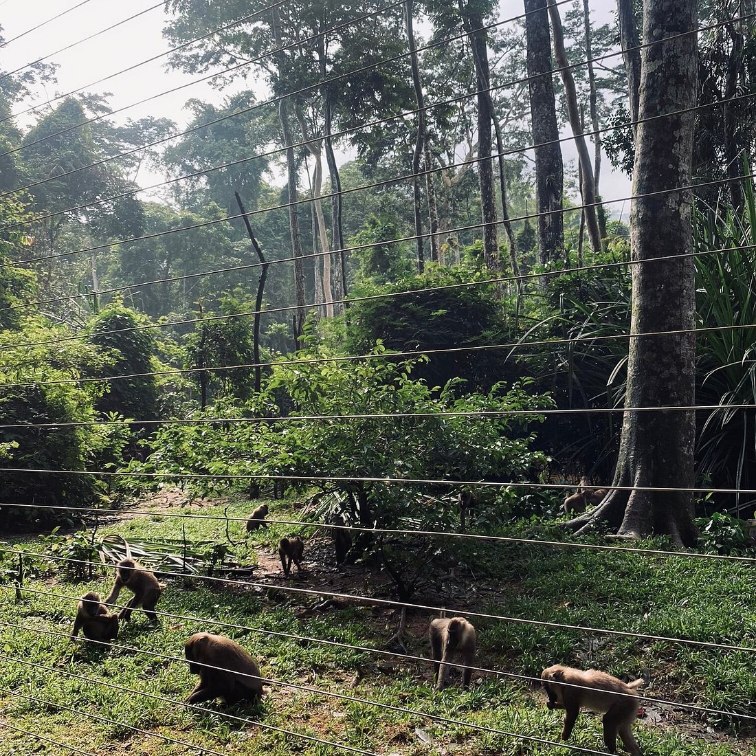 Drill Ranch, Calabar, Cross River State